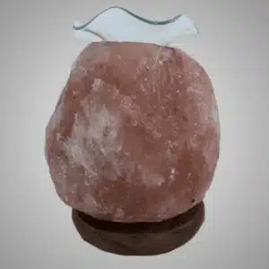 Lampe sel Himalaya Diffuseur 3 à 4 kg